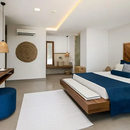 Lapis - Kalkan *