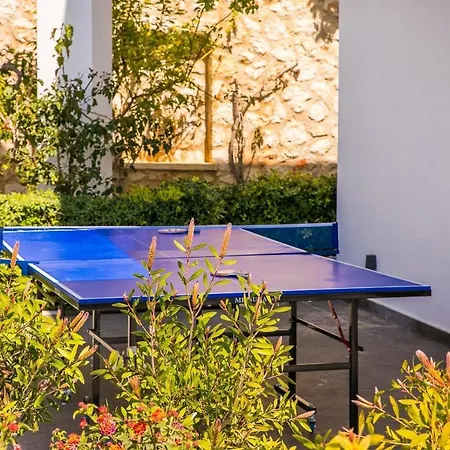 Lapis - Kalkan